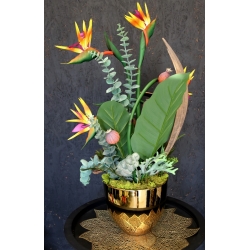 Kompozycja PREMIUM STRELICJE gumowe LUX w złotej osłonce